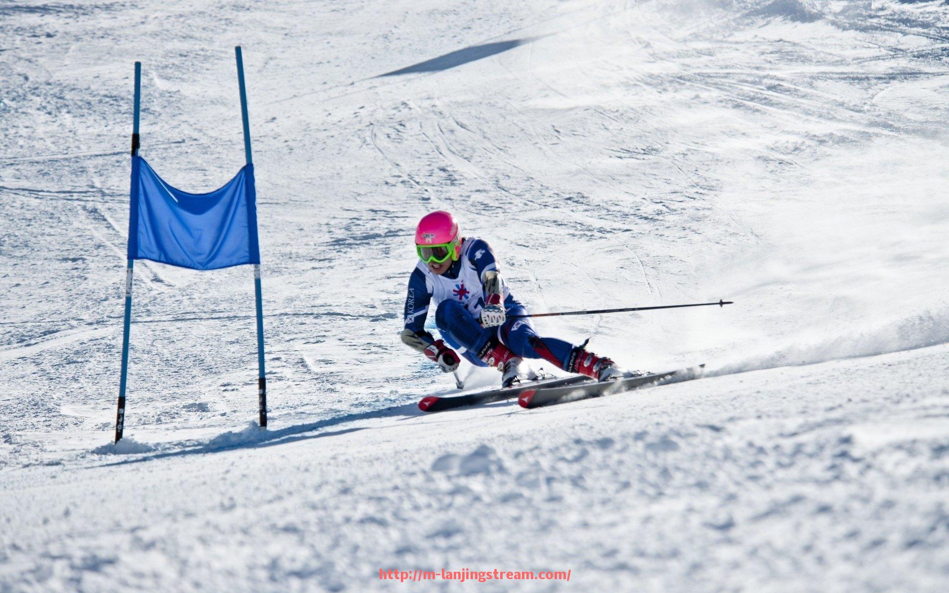 蓝鲸体育直播-德甲历年各队冠军数量对比