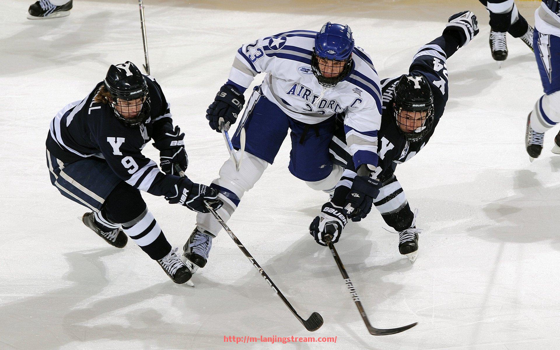 蓝鲸体育直播-法甲球员赛季表现资讯合集:数据与舆情双评估