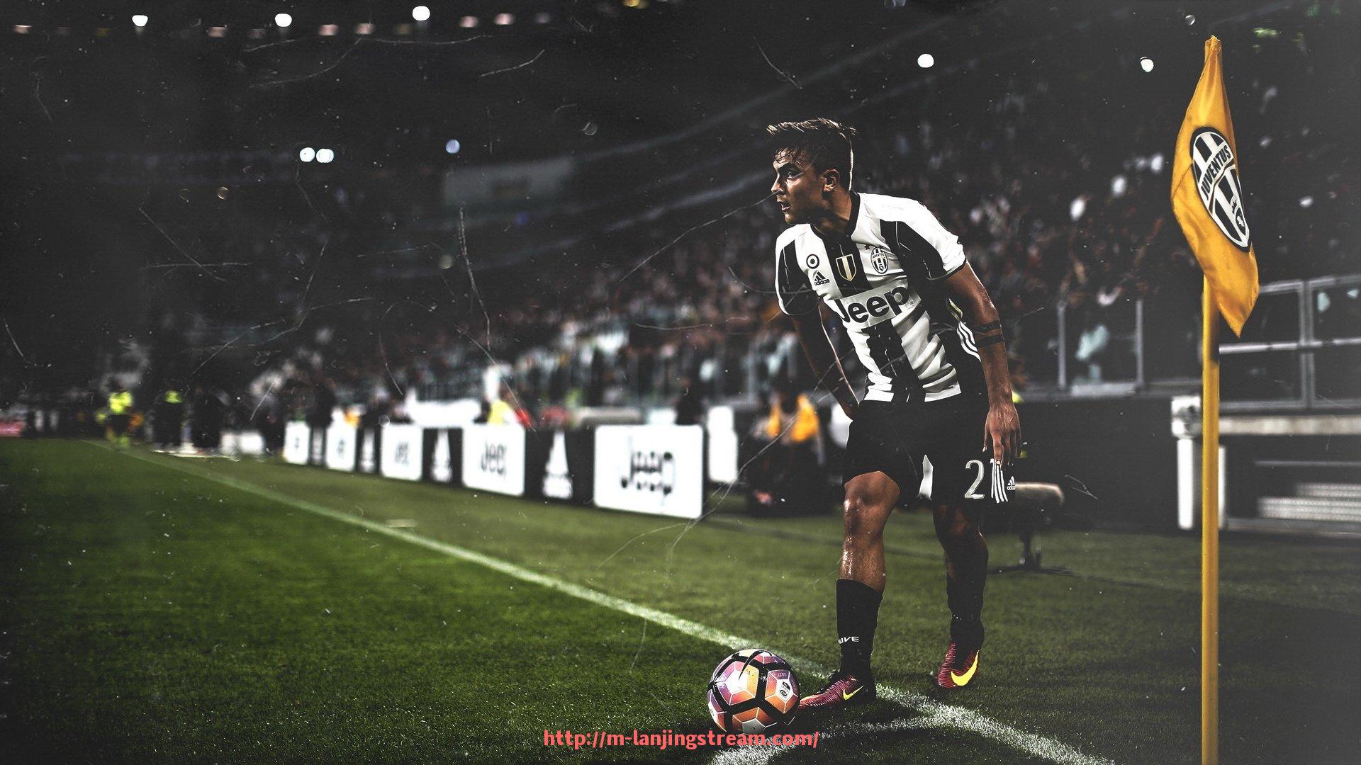 蓝鲸体育直播-辽宁健身房健身器材配备情况及行业现状